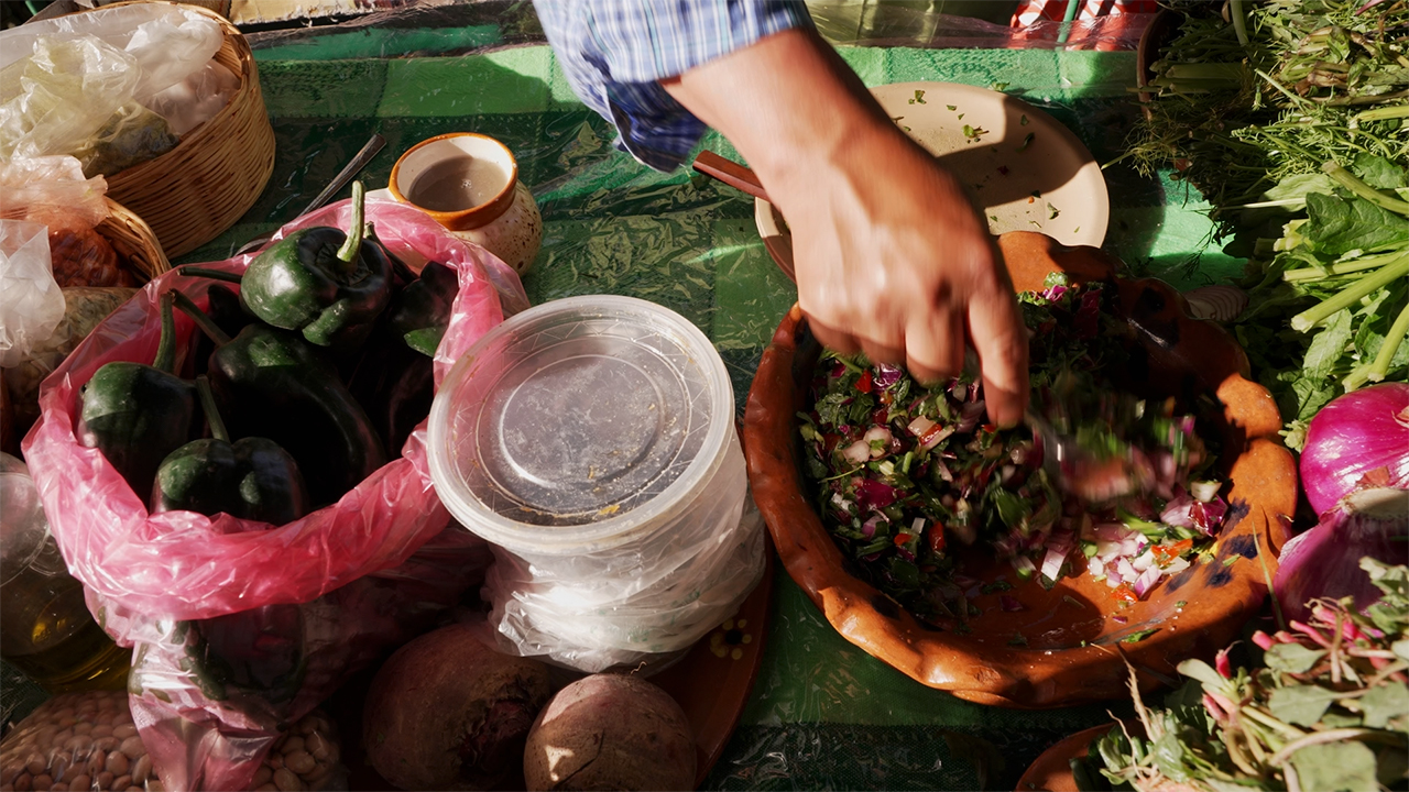 La agroecología es otra forma de convivencia con el ambiente.